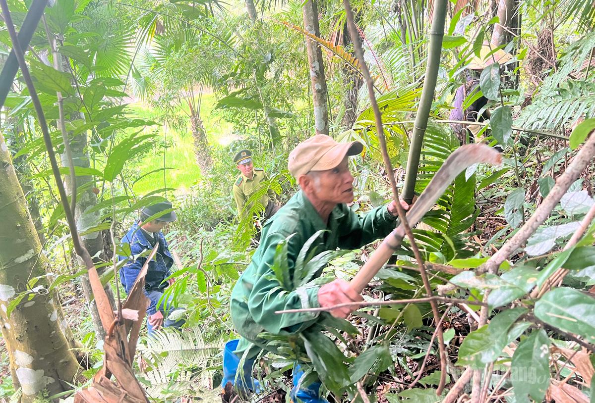 Người d&acirc;n th&ocirc;n Minh Thượng, x&atilde; Bắc Quang ph&aacute;t quang c&acirc;y bụi, chống ch&aacute;y rừng.