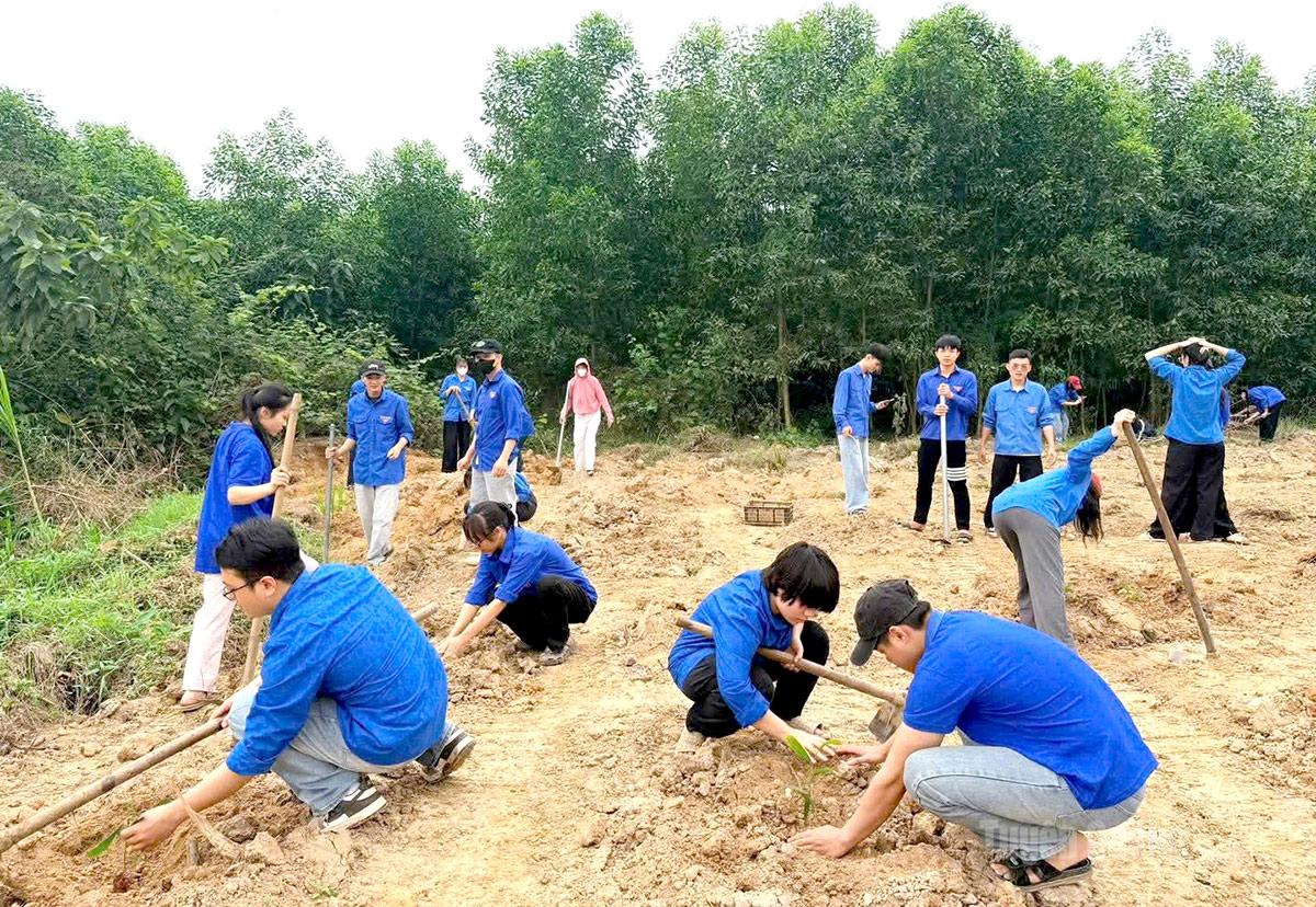 Trồng cây xanh được các cơ sở Đoàn tổ chức sôi nổi.