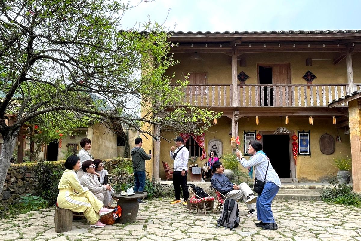 Visitors rest, chat, and take photos beneath an ancient peach tree in the courtyard of a traditional rammed-earth house in Lo Lo Chai Village.