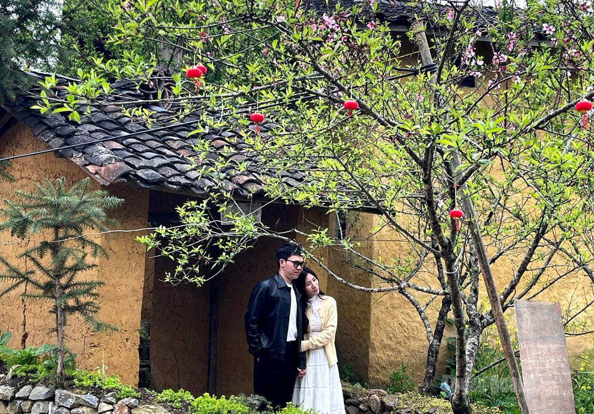 Visitors capture moments beneath peach blossoms in front of the gate of a traditional rammed-earth house in Lo Lo Chai Village.