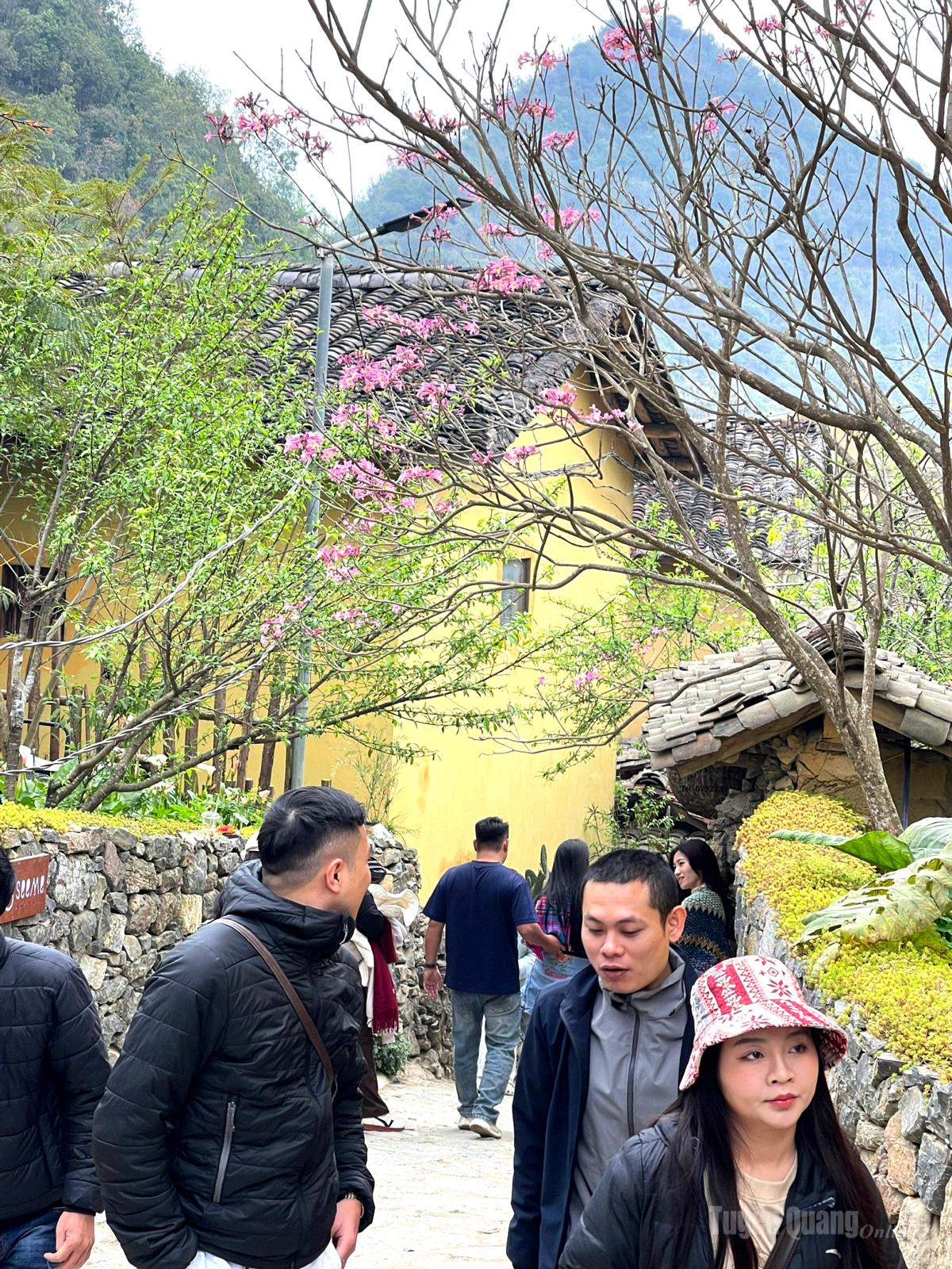 A stream of visitors strolls through a narrow alley.