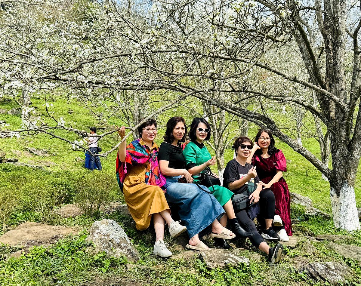 Pear blossoms in Hong Thai are currently at their peak, attracting numerous visitors eager to take photos and check in.