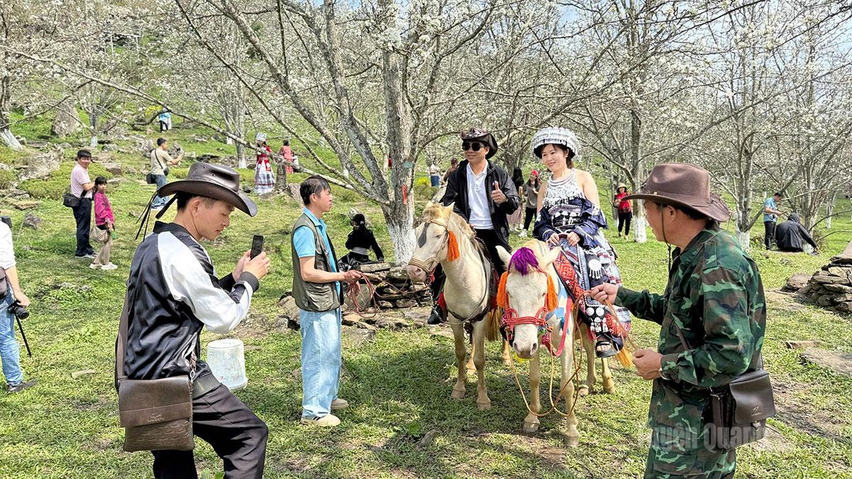 A range of tourism services is available to visitors, including horseback rides through pear orchards and traditional ethnic costume rentals for photo sessions in the blossom gardens.