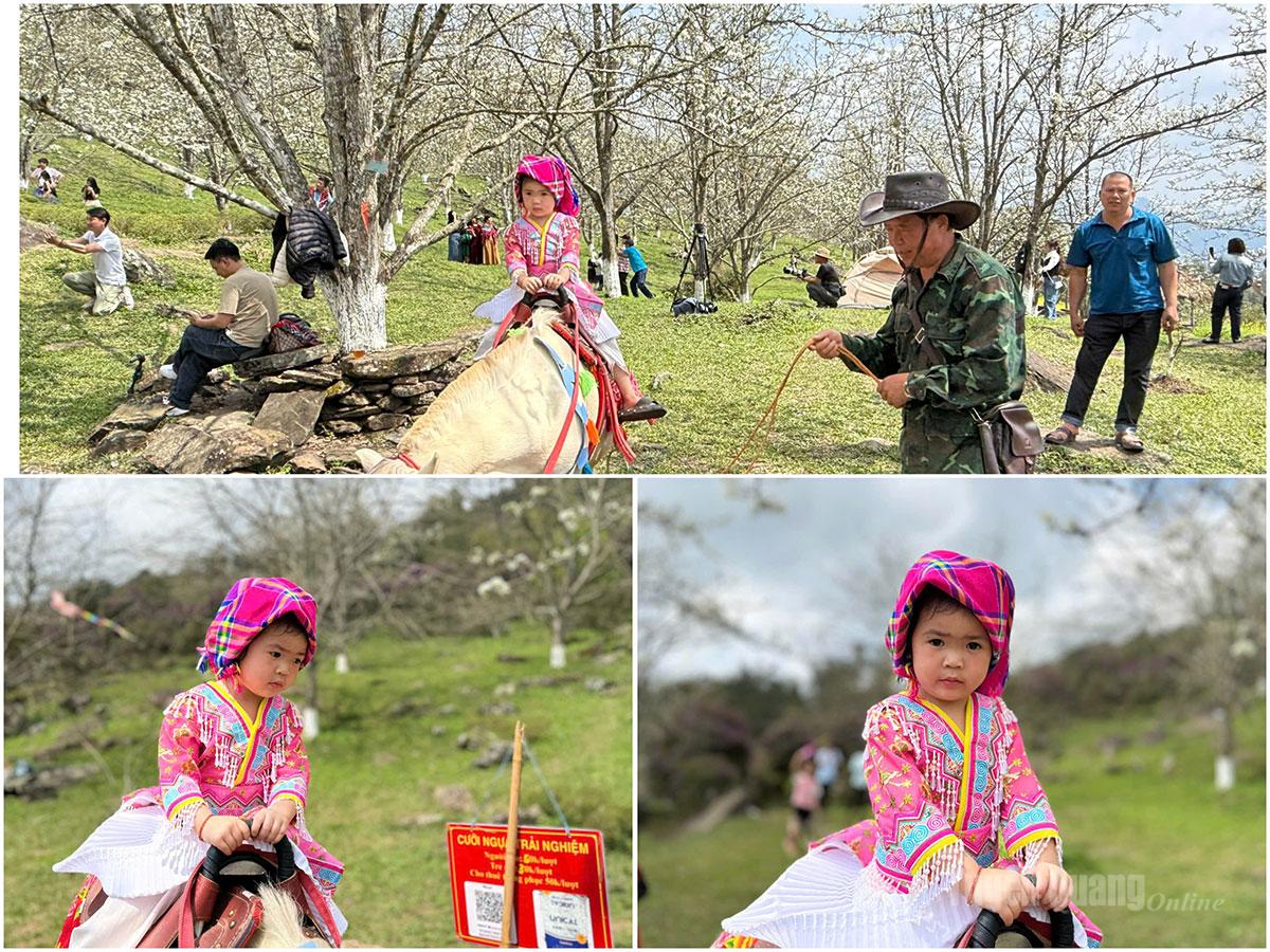 Children delight in experiencing the pear blossom season in Hong Thai.