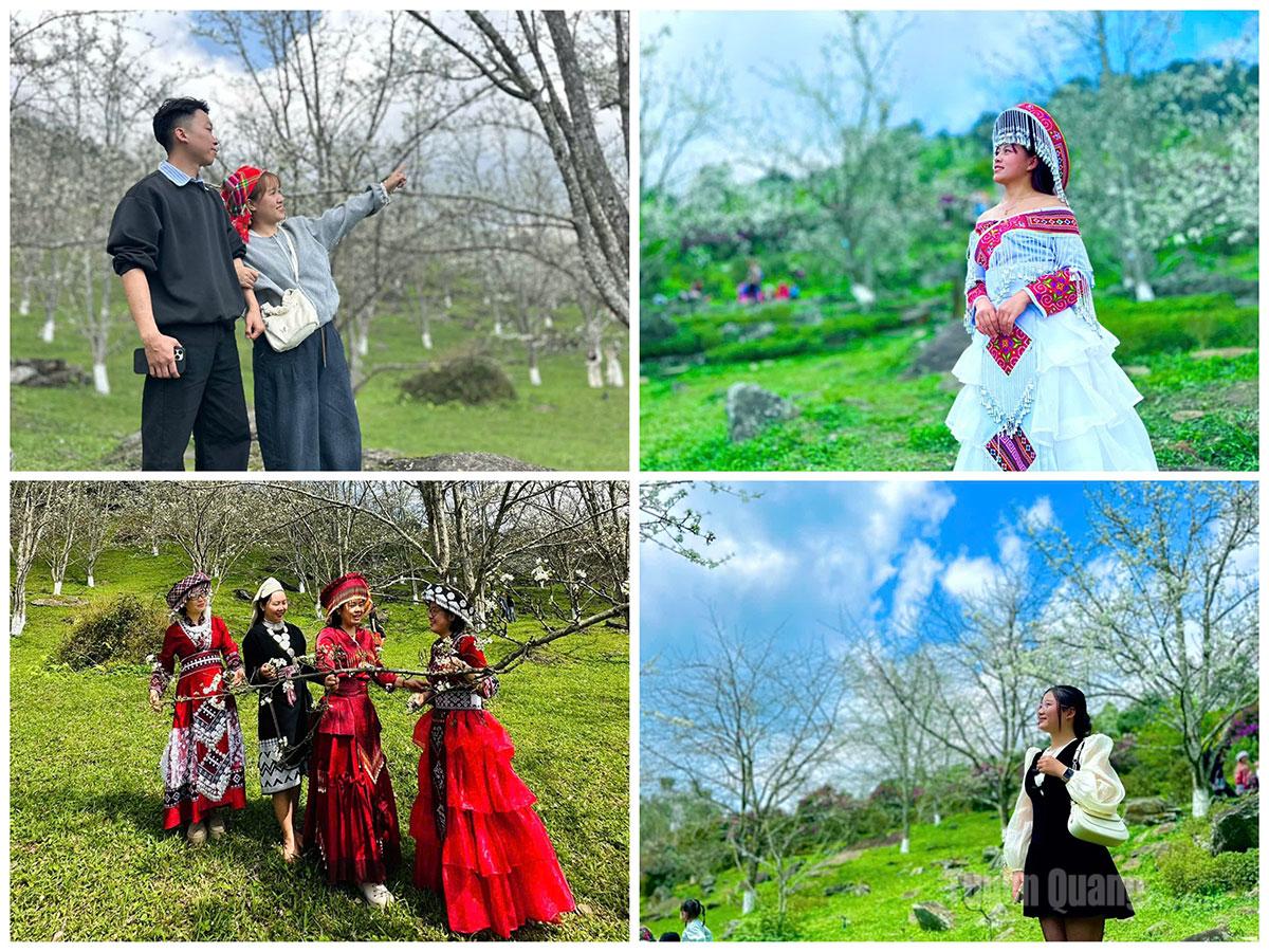 The pear blossom season in Hong Thai draws large numbers of tourists, particularly young people who come to sightsee and take photographs.