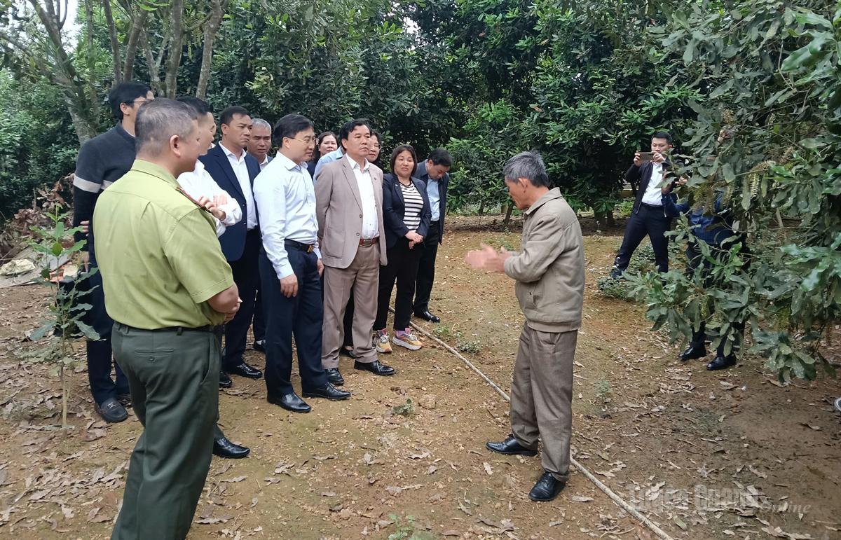 Đoàn công tác của Sở Nông nghiệp và Môi trường tỉnh Tuyên Quang tham quan, học tập kinh nghiệm các mô hình kinh tế nông nghiệp ở Lạng Sơn.