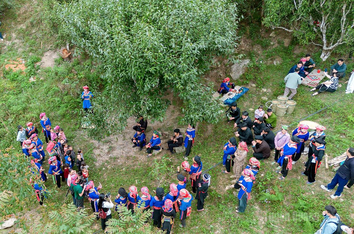 From early morning, villagers from Ta Chai and visitors gather around ancient Shan Tuyet tea trees to perform a thanksgiving ritual dedicated to the ancient Tung San tea tree.