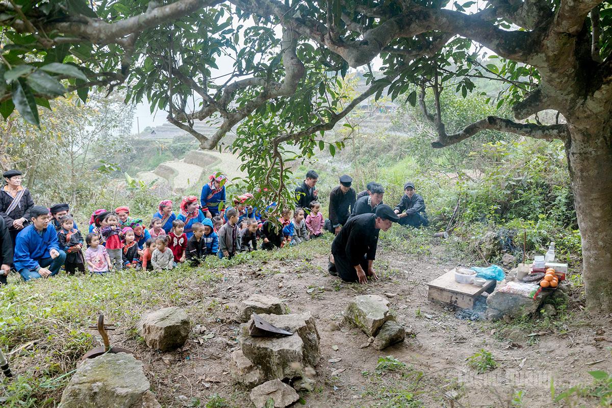 The thanksgiving ritual for the ancient Tung San tea tree.