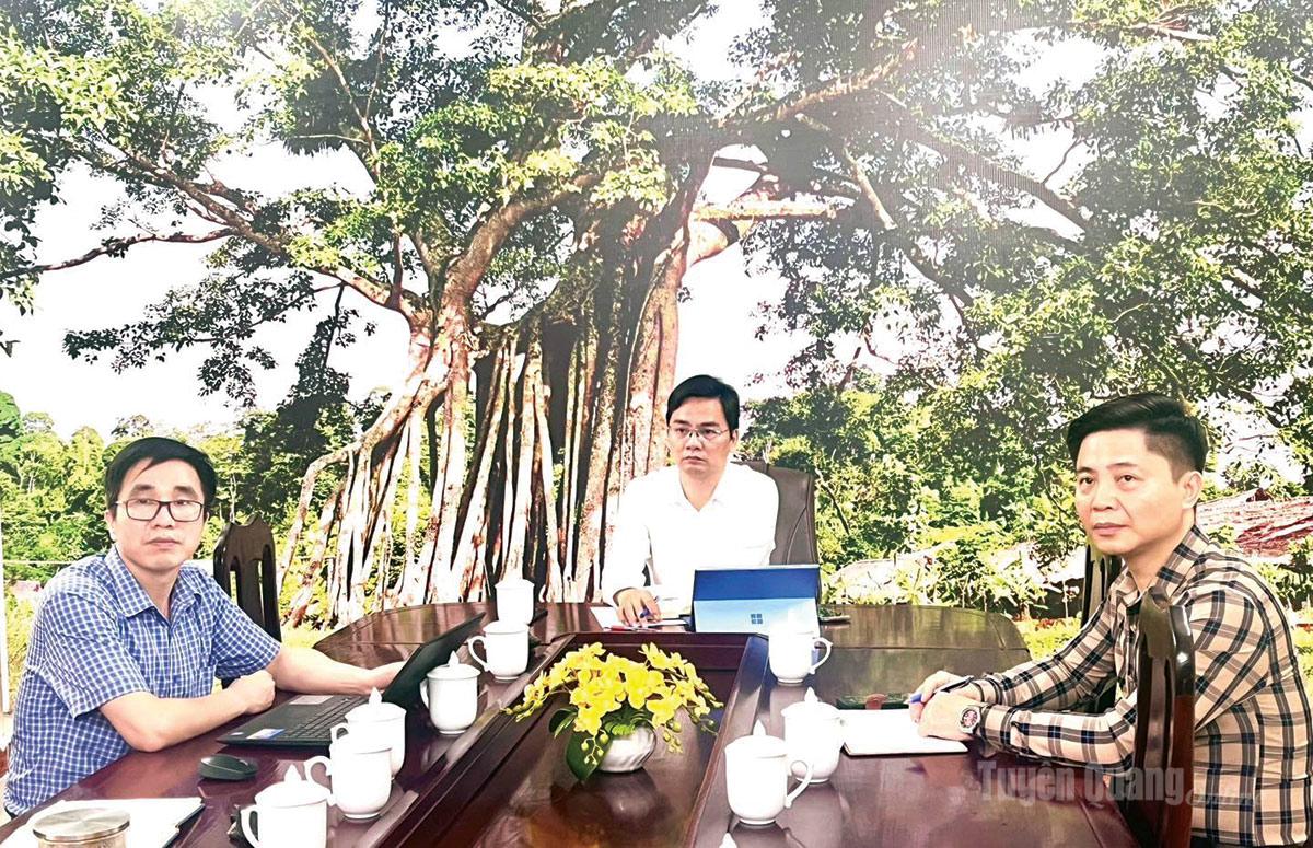 Buổi làm việc trực tuyến giữa Sở GD&ĐT với các đơn vị.