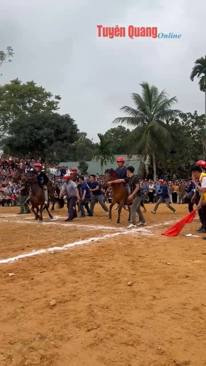 Hấp dẫn giải đua ngựa x&atilde; Ph&ugrave; Lưu