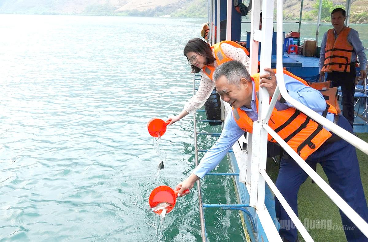 Các loại cá được thả phù hợp điều kiện sinh thái, bảo đảm sinh trưởng, phát triển tốt.