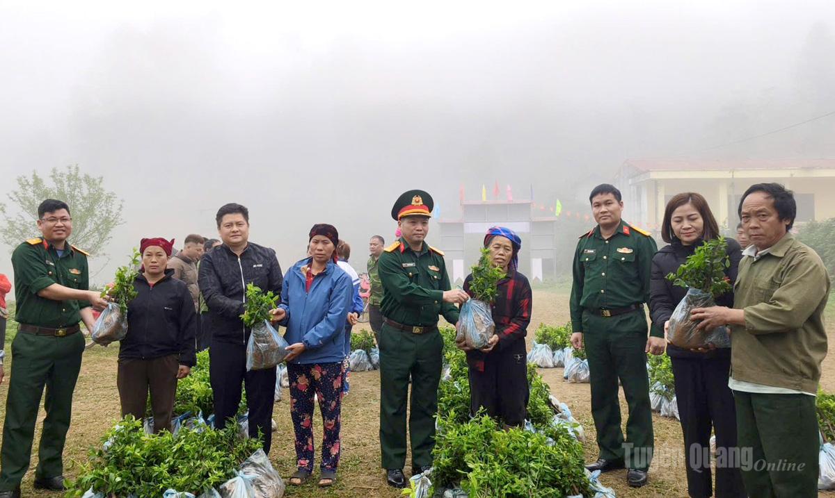 Đại diện Đoàn Kinh tế - Quốc phòng 313  trao cây mận giống cho người dân.