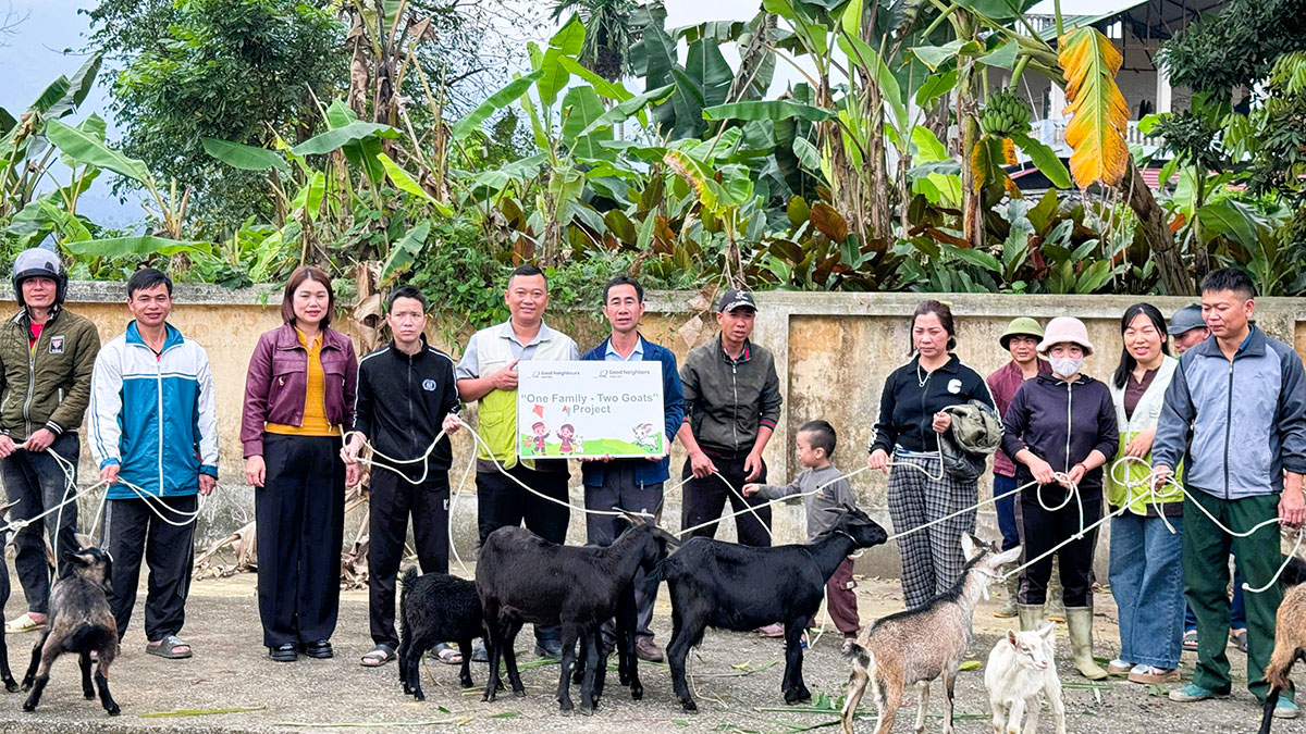 Đại diện Tổ chức GNI tại Việt Nam trao tặng dê giống hỗ trợ sinh kế cho các hộ gia đình khó khăn tại xã Yên Thành.