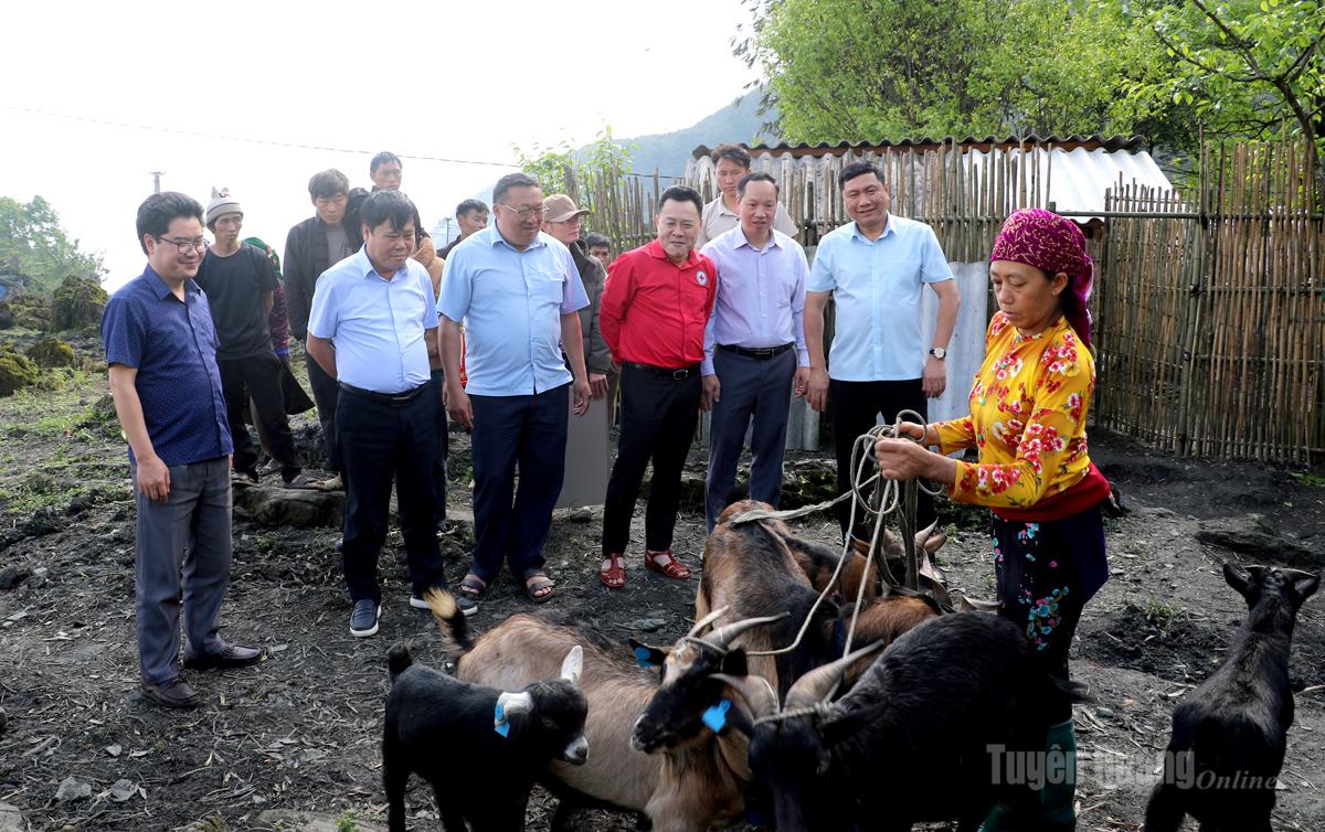 Trưởng ban Nội chính Tỉnh ủy Phùng Tiến Quân, Giám đốc Báo và phát thanh, truyền hình Tuyên Quang Mai Đức Thông cùng lãnh đạo Hội Chữ Thập đỏ tỉnh, Chi nhánh PETROLIMEX Hà Giang động viên các gia đình chăm sóc hiệu quả đàn dê.