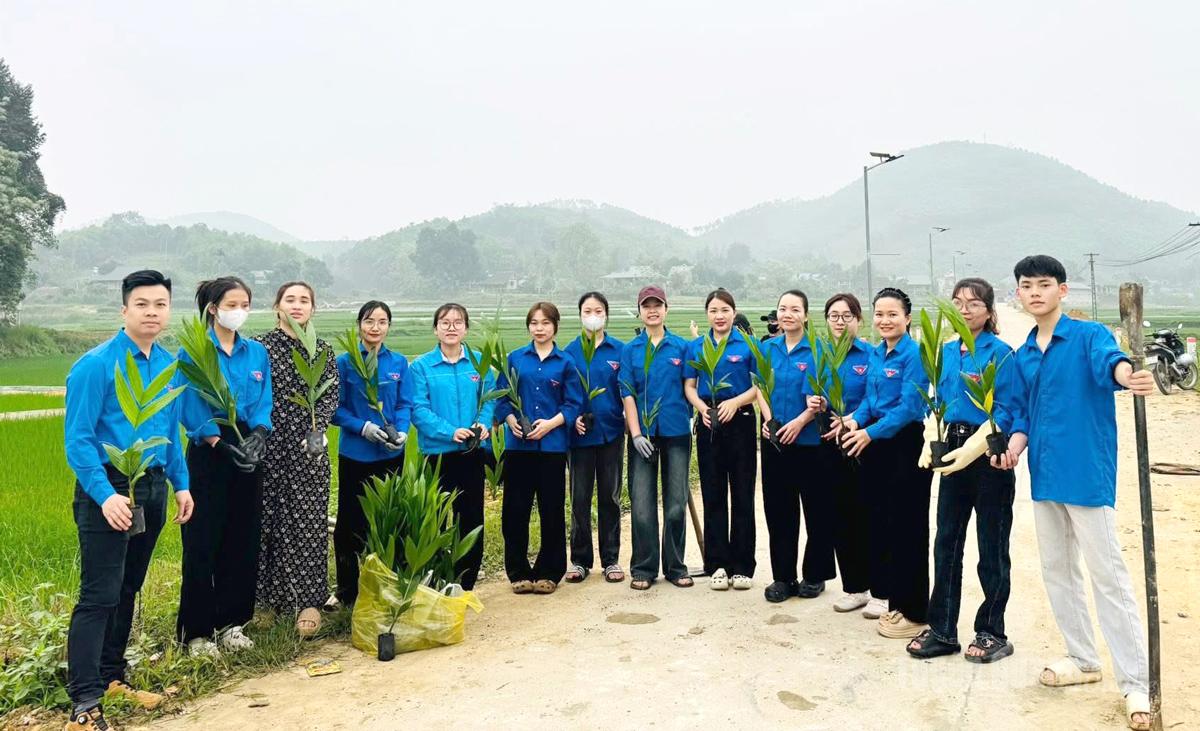 Thanh niên xã Yên Sơn thực hiện trồng tuyến đường cây cau, góp phần tạo môi trường xanh sạch.