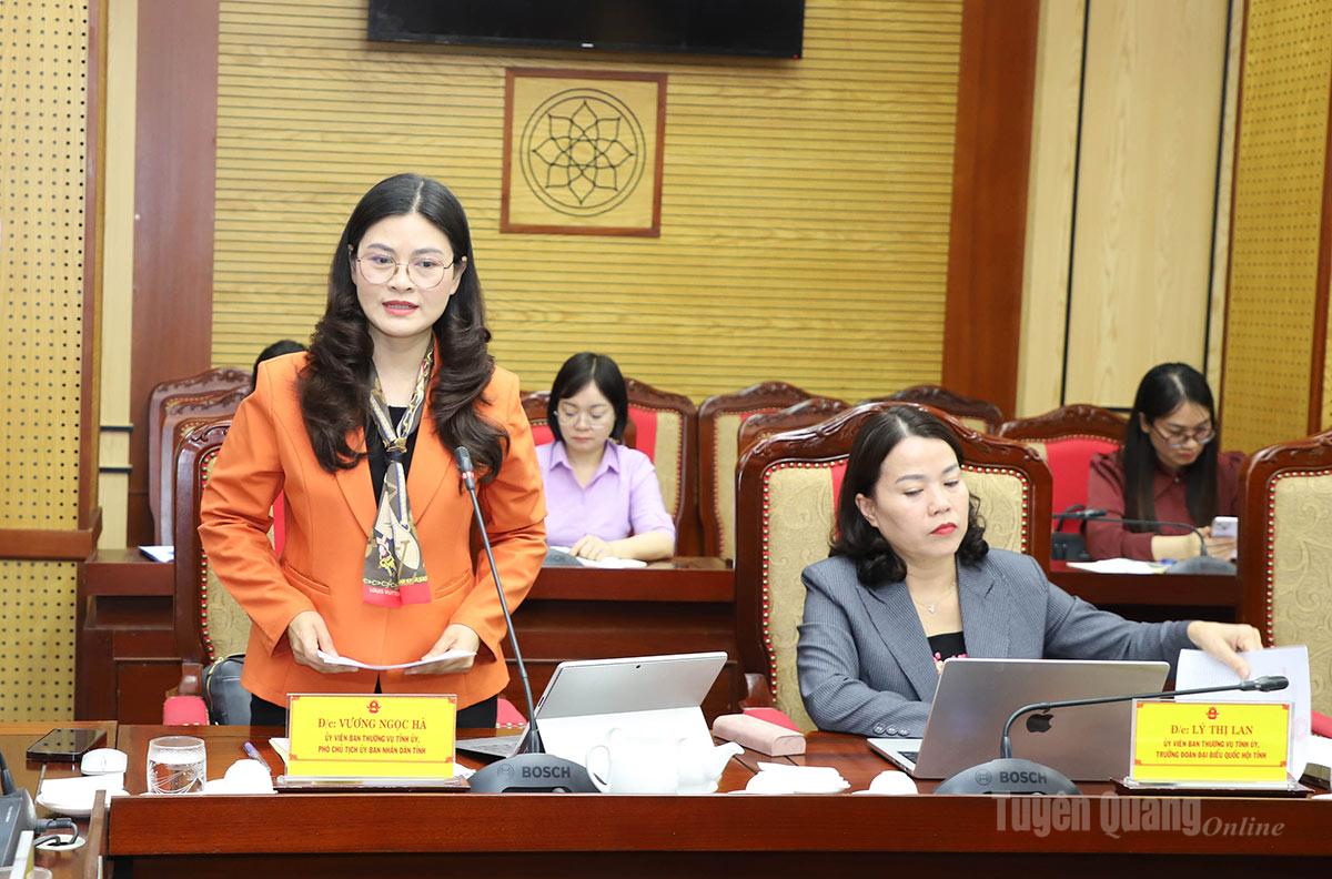 Phó Chủ tịch UBND tỉnh Vương Ngọc Hà phát biểu tại buổi làm việc.