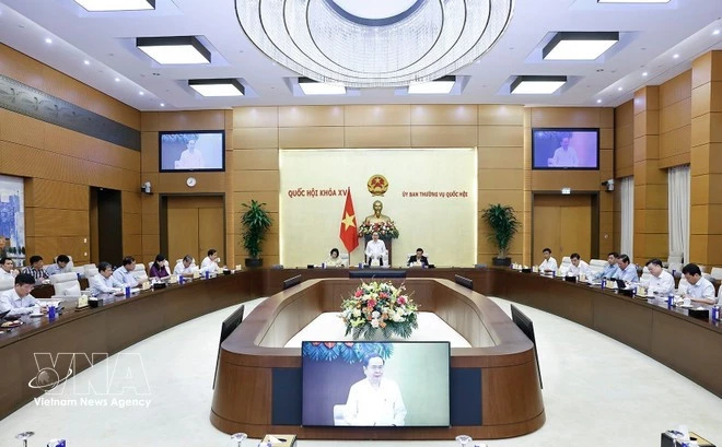 At the meeting (Photo: VNA)