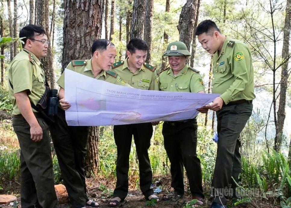 Officers of Forest Ranger Unit XVI patrol the forest, compare forest maps, monitor the current status and promptly handle violations at the grassroots level.