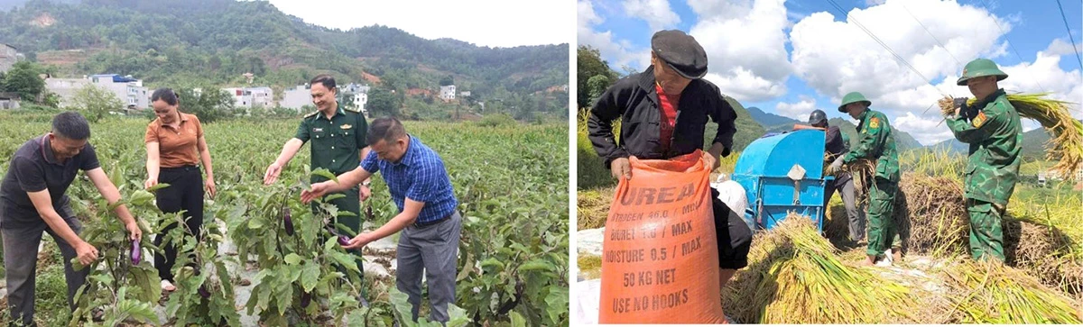 Cán bộ biên phòng tăng cường tuyên truyền hộ gia đình phát triển kinh tế.