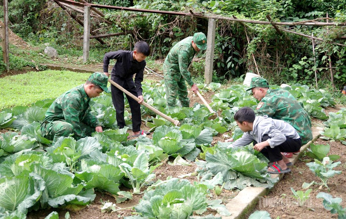 Các con nuôi biên phòng được hướng dẫn tăng gia sản xuất, giáo dục tình yêu lao động.