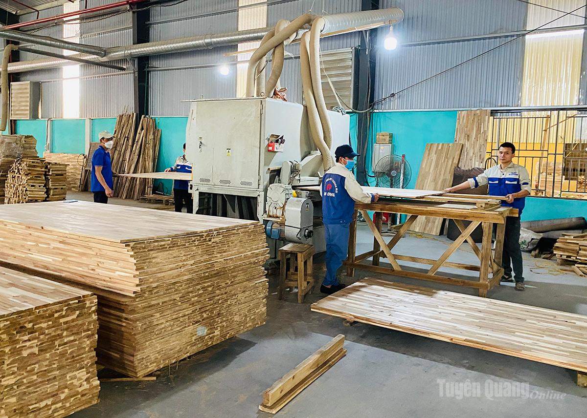 Sản xuất gỗ xuất khẩu sang thị trường Đài Loan tại Công ty Cổ phần Cơ khí Tuyên Quang.