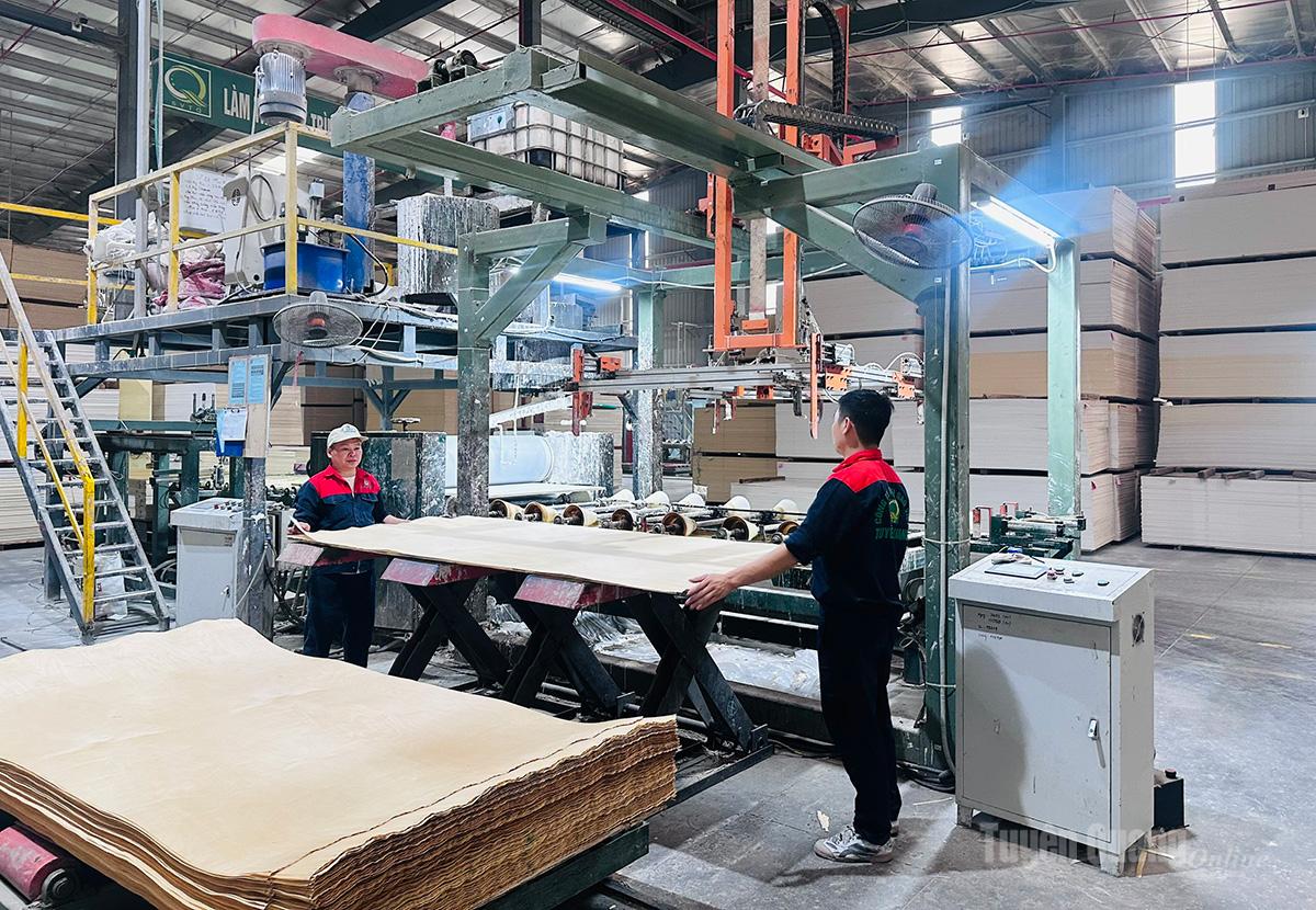 Công ty TNHH Sao Việt Tuyên Quang sử dụng nguồn nhân lực chất lượng cao vận hành dây chuyền sản xuất ván ép tự động hóa, góp phần nâng cao năng suất và chất lượng sản phẩm.