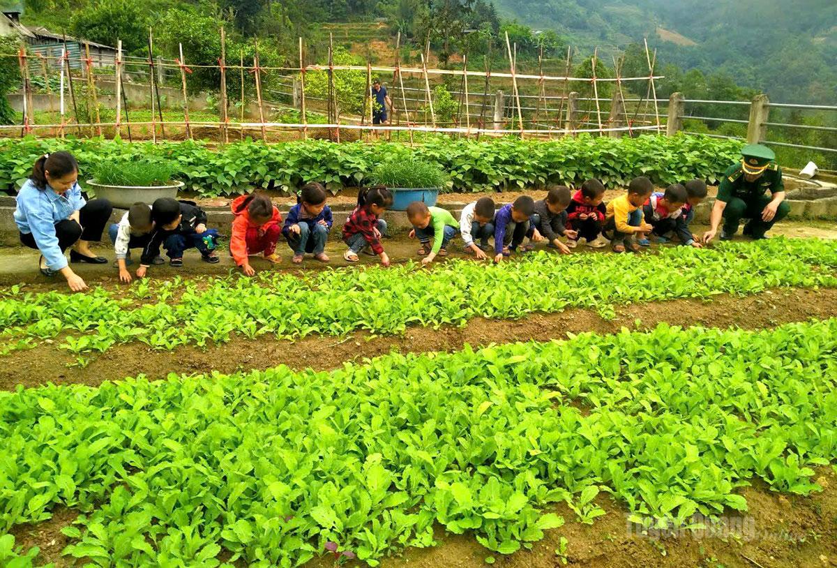 Mô hình “Vườn rau dinh dưỡng” của Trường Mầm non Pố Lồ, xã Thàng Tín. 