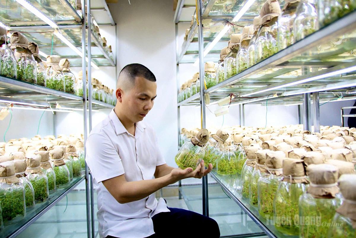 Anh La Minh Phúc theo dõi quá trình sinh trưởng và phát triển của cây giống trong phòng thí nghiệm.