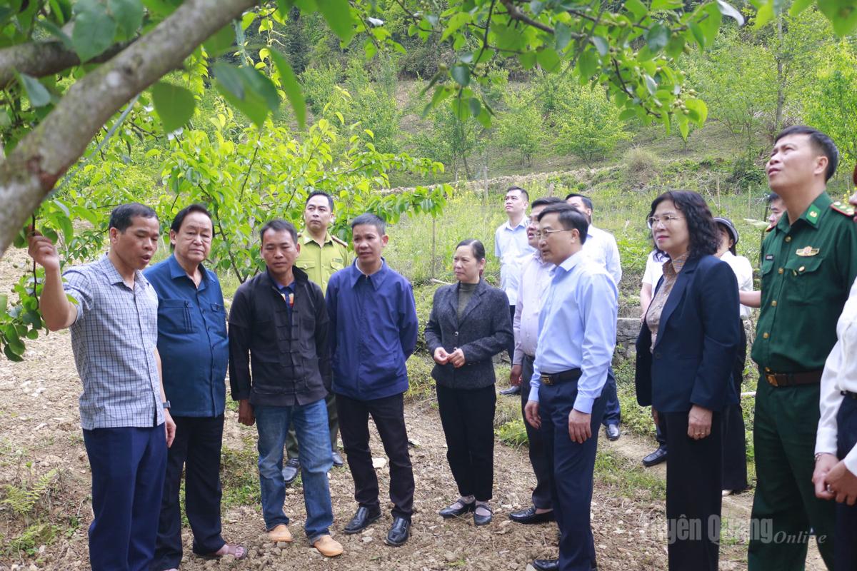 Lãnh đạo Sở Nông nghiệp và Môi trường cùng các chuyên gia đầu ngành, khảo sát, đánh giá lựa chọn cây trồng phù hợp tại xã Đồng Văn.