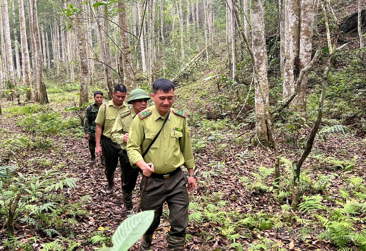 Lực lượng kiểm lâm khu vực V tuần tra, kiểm soát nguy cơ cháy rừng.