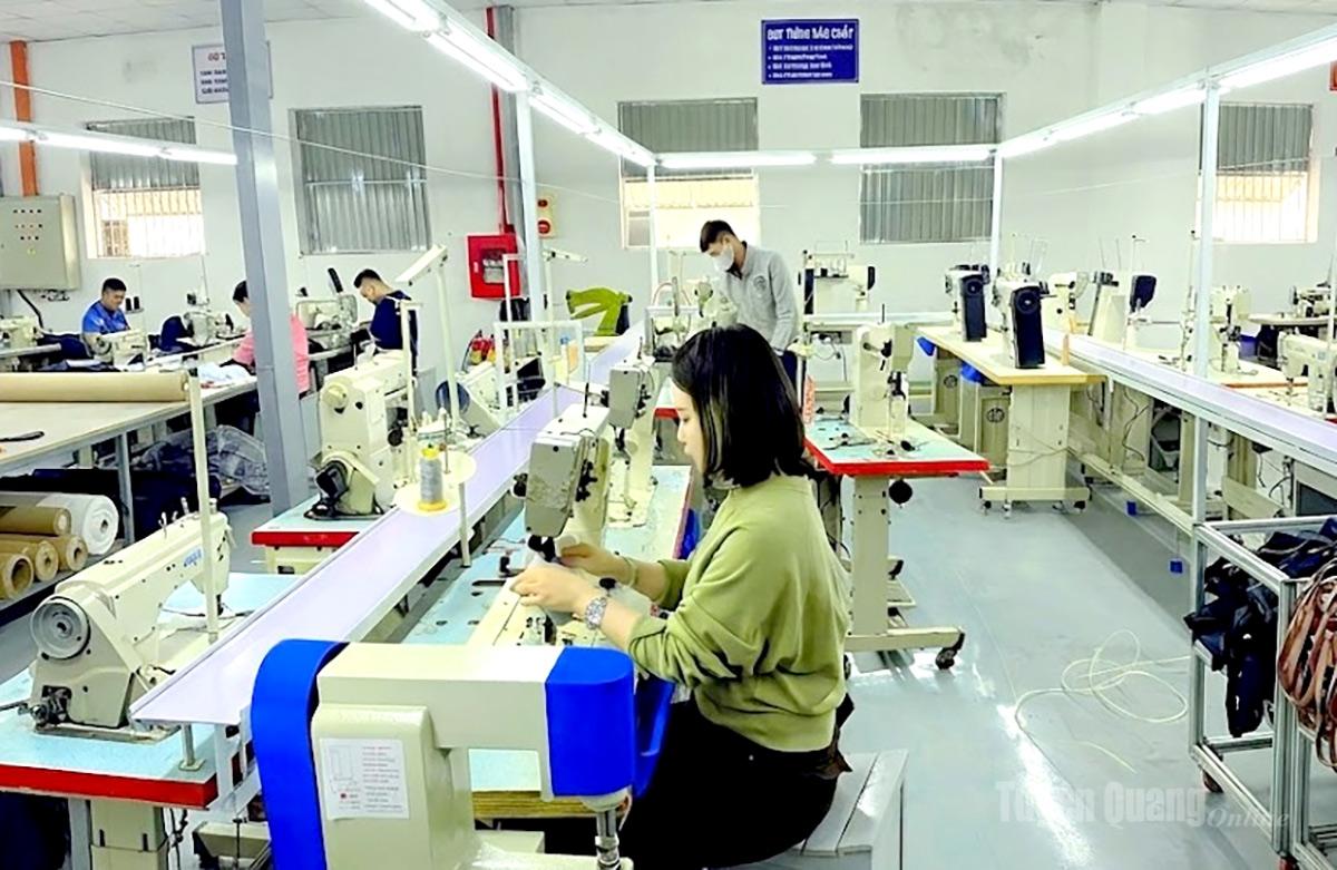 Công nhân làm việc tại Công ty TNHH Kim Hân Tuyên Quang - doanh nghiệp mới thành lập.