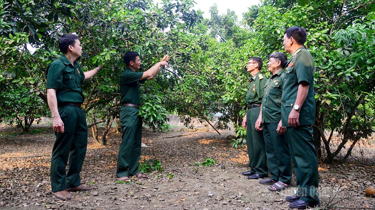 Phát huy phẩm chất 
Bộ đội Cụ Hồ, nhiều CCB 
xã Lực Hành vươn lên 
làm kinh tế giỏi.