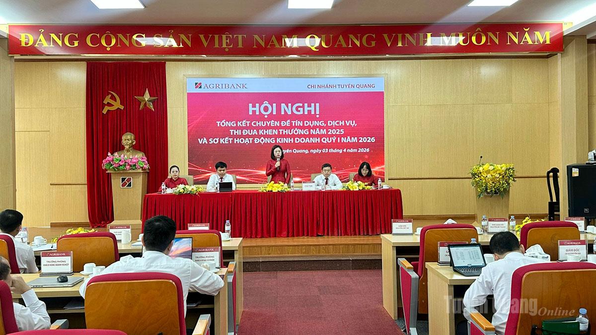 Các đại biểu dự hội nghị.