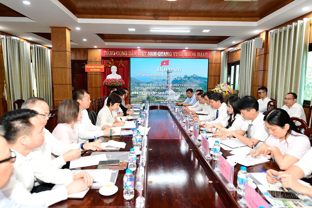 Quang cảnh buổi làm việc.