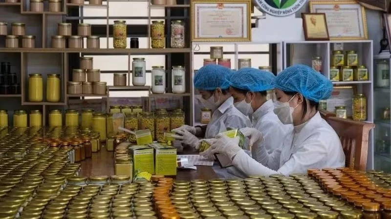 Chú trọng đào tạo nghề cho lao động nông thôn