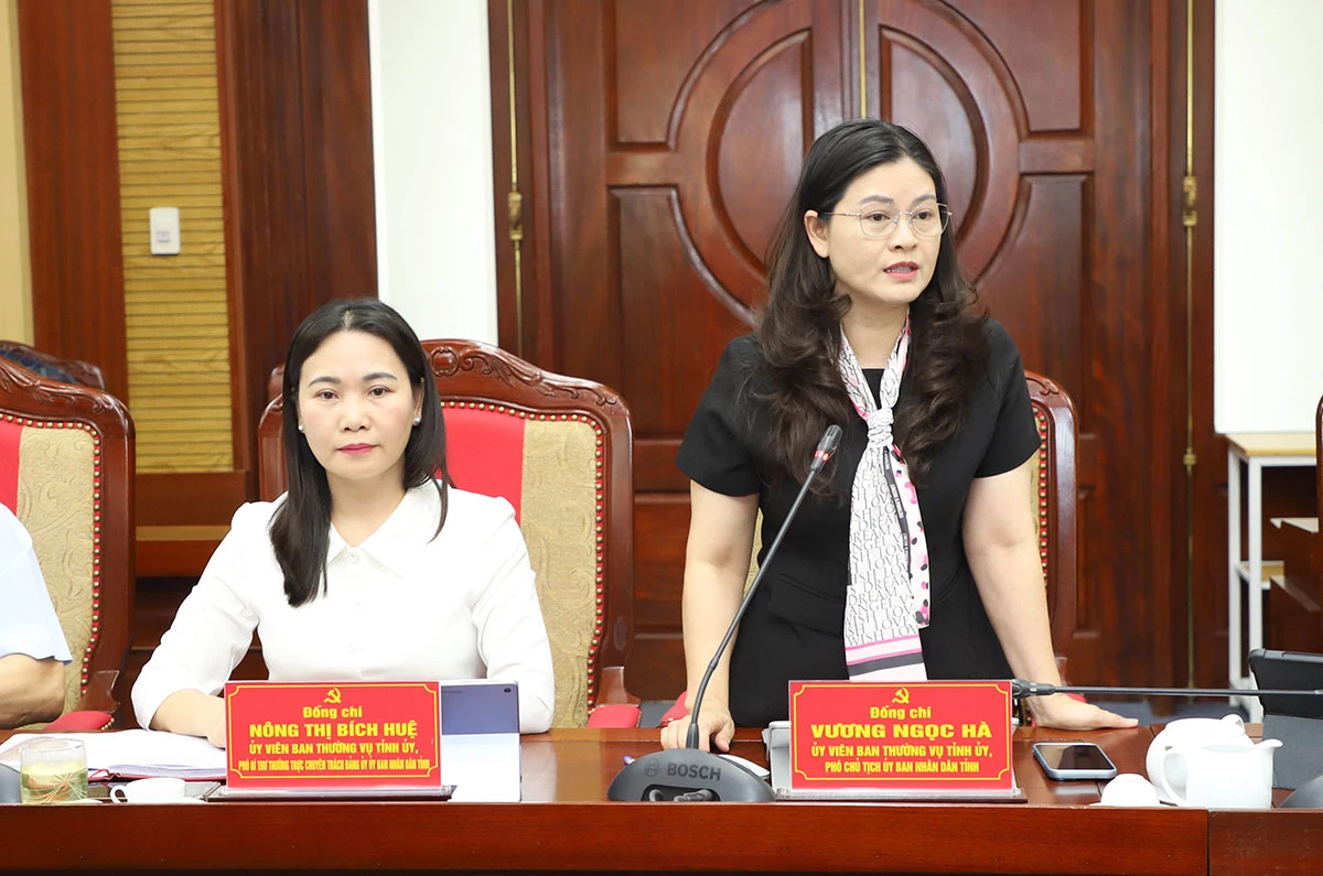 Phó Chủ tịch UBND tỉnh Vương Ngọc Hà thảo luận tại hội nghị.