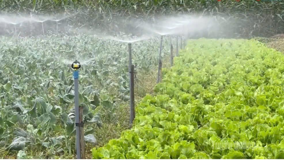 Hệ thống phun tưới tự động góp phần tăng năng suất trong sản xuất nông nghiệp.