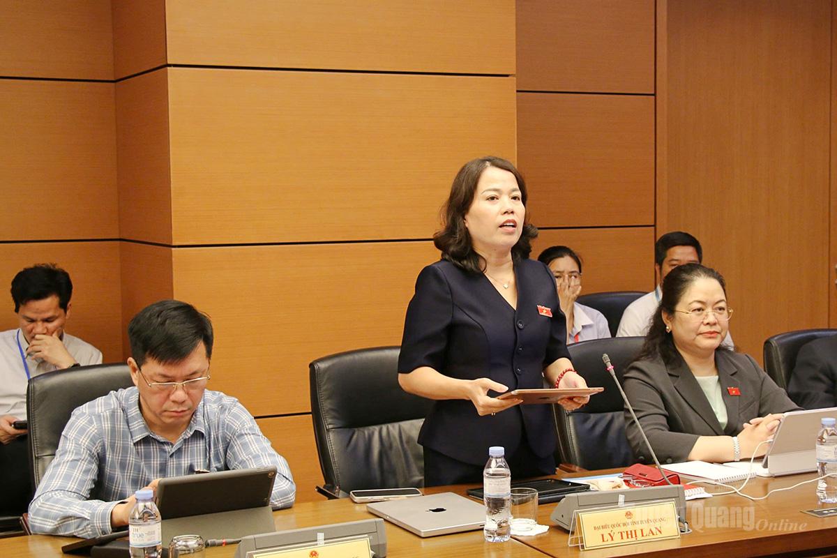 Đại biểu Quốc hội Lý Thị Lan, Ủy viên Ban Thường vụ Tỉnh ủy, Phó Trưởng đoàn hoạt động chuyên trách Đoàn ĐBQH tỉnh Tuyên Quang khóa XVI thảo luận về dự án Luật sửa đổi, bổ sung một số điều của Luật Thi đua, khen thưởng.