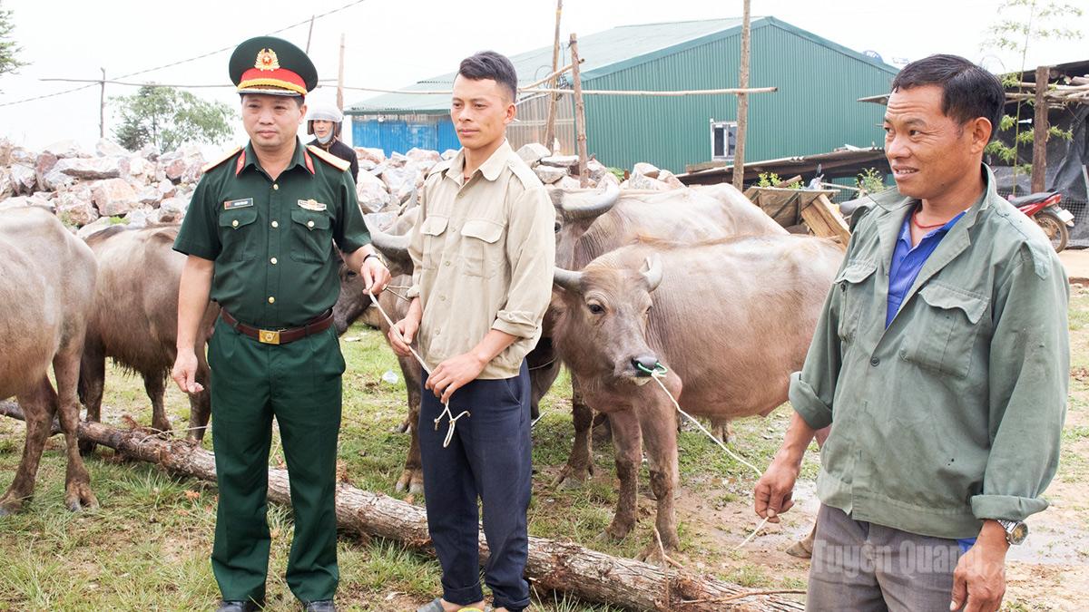 Đội Sản xuất số 3, Đoàn Kinh tế - Quốc phòng 313 trao trâu giống cho hộ nghèo ở xã Xín Mần.