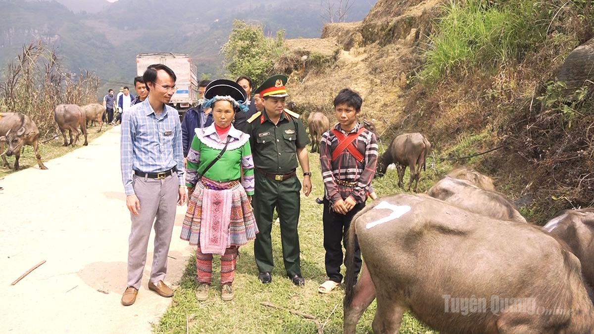 Cán bộ Đoàn Kinh tế - Quốc phòng 313 cùng lãnh đạo xã Xín Mần và người dân xã Xín Mần trao đổi về việc chăm sóc trâu giống.