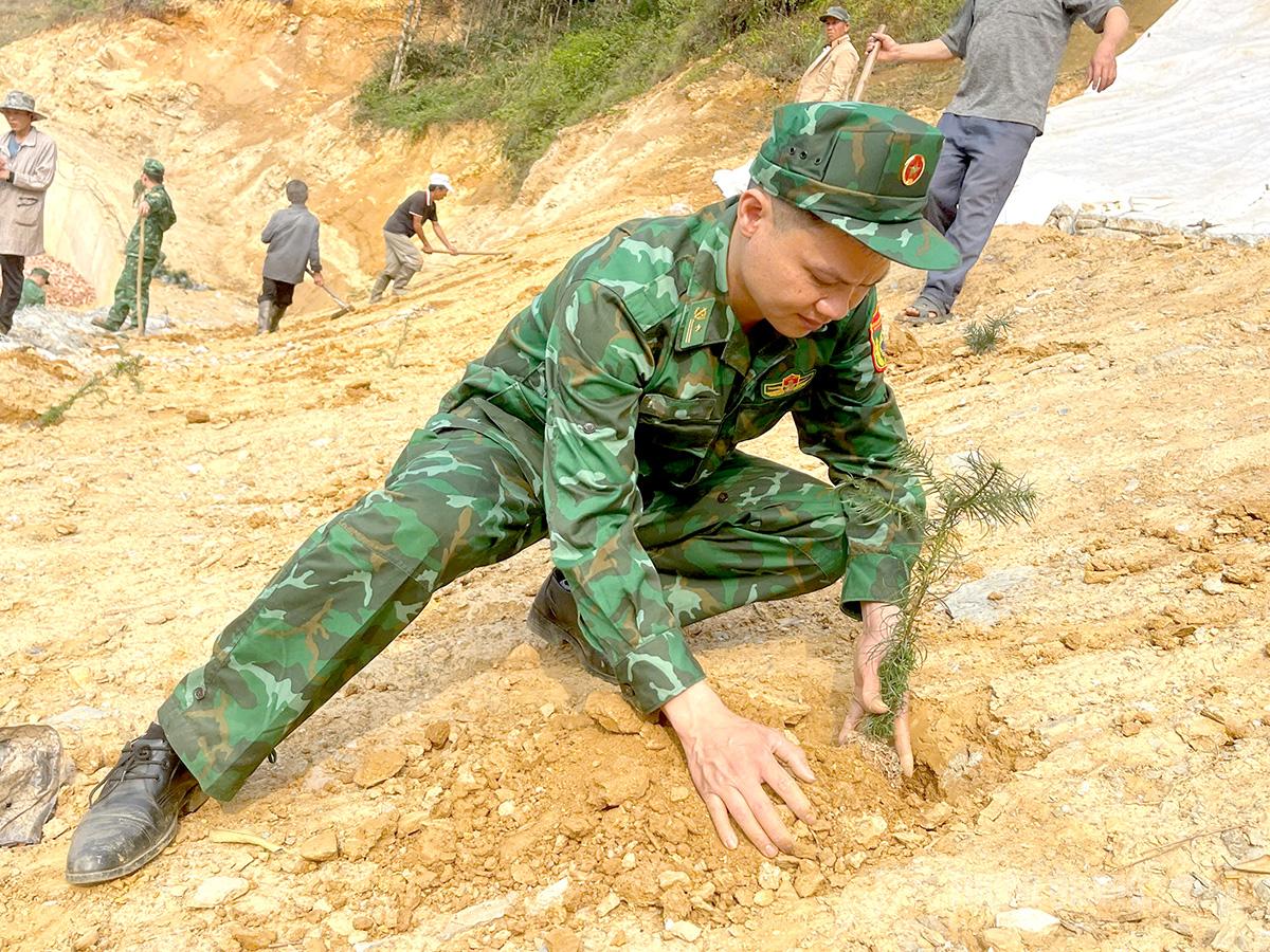 Sa mộc là loài cây thân gỗ sinh trưởng tốt ở vùng núi cao, có khả năng chống xói mòn, giữ đất và tạo vành đai xanh bảo vệ môi trường sinh thái khu vực biên giới.