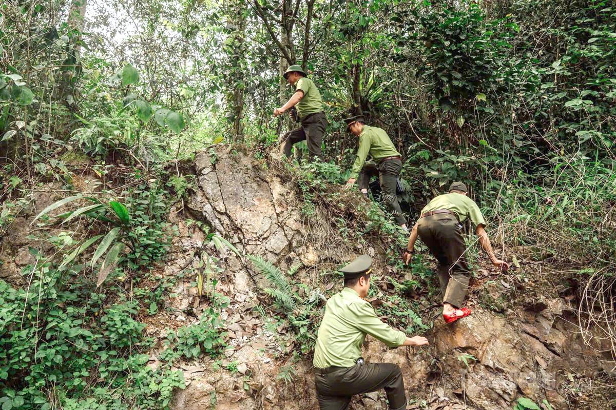 Sự vất vả trên đường tuần tra của cán bộ kiểm lâm đã góp phần giữ bình yên cho rừng. Ảnh: Phạm Hưởng.
