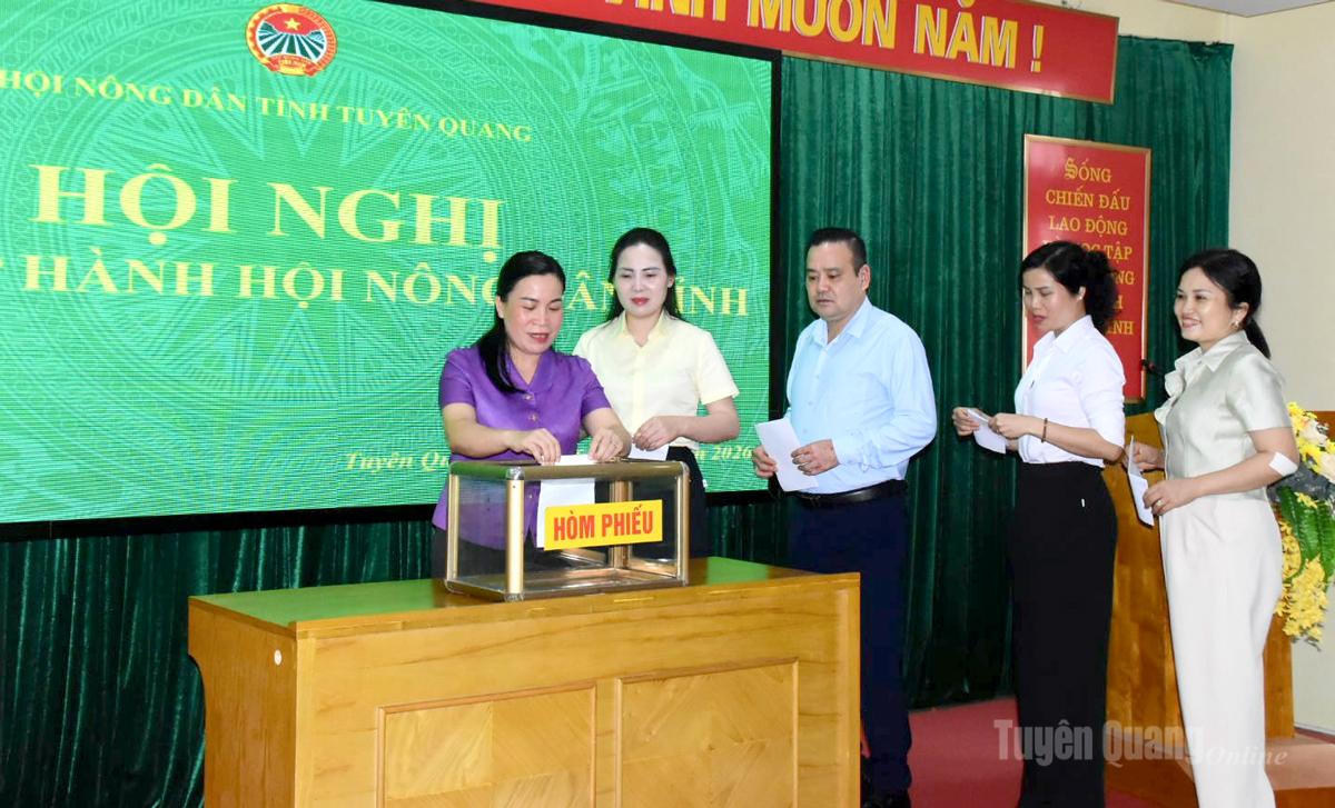 Ban Chấp hành Hội Nông dân tỉnh bỏ phiếu bầu chức danh Phó Chủ tịch Hội Nông dân tỉnh, nhiệm kỳ 2025-2030.
