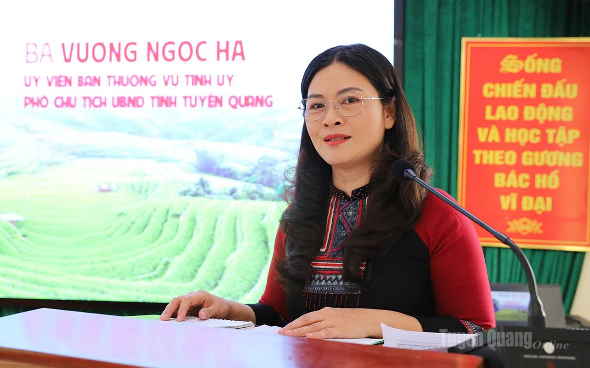 Đồng chí Vương Ngọc Hà, Uỷ viên BTV Tỉnh uỷ, Phó Chủ tịch UBND tỉnh phát biểu tại hội thảo.