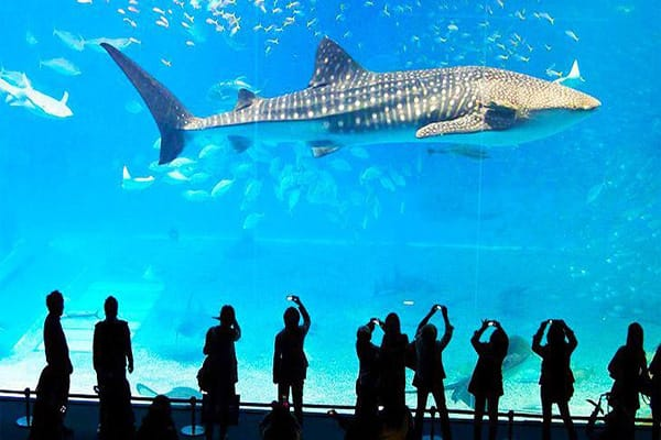 Sea Life Bangkok Ocean World 