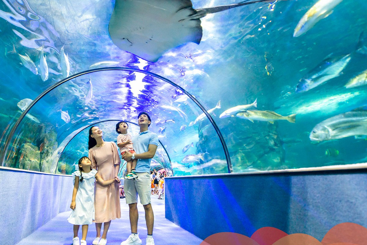 Cung Điện Hải Vương 