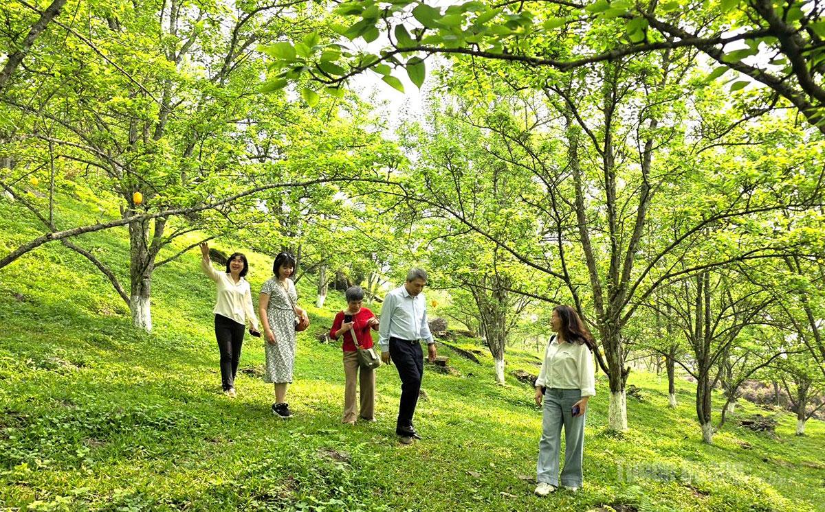 Đoàn khảo sát du lịch tại xã Hồng Thái.