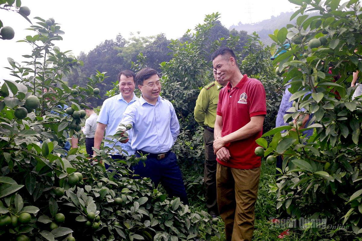 Đoàn công tác của Sở Nông nghiệp và Môi trường tỉnh khảo sát thực tế các mô hình nông, lâm nghiệp tại hai xã Vĩnh Tuy và Hùng An.