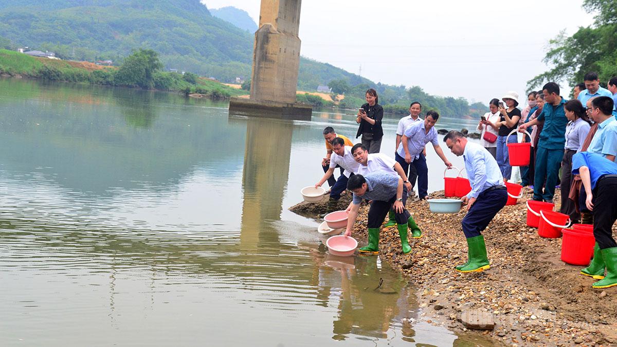 Các đại biểu tham gia thả cá giống tái tạo nguồn lợi thủy sản xuống khu vực sông Lô, thôn Chợ Bợ 1, xã Bình Xa .