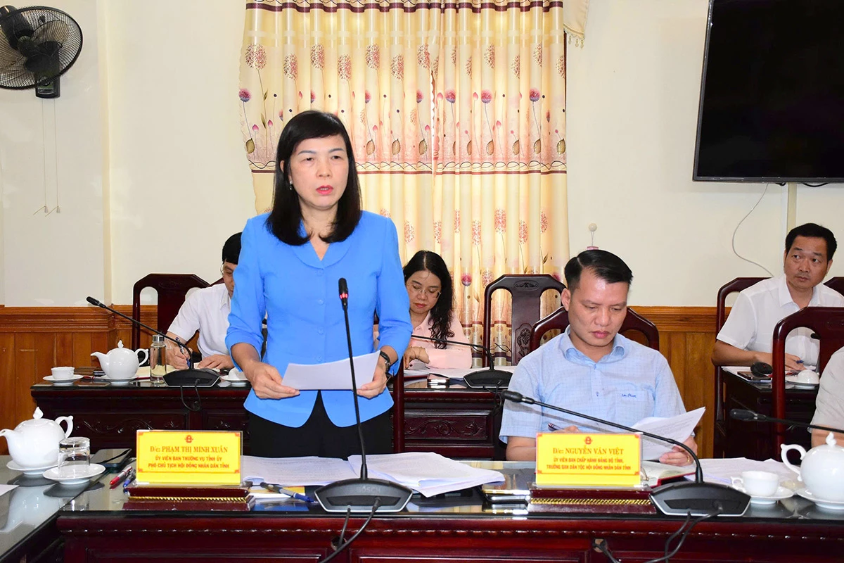 Đồng chí Phạm Thị Minh Xuân, Ủy viên Ban Thường vụ Tỉnh ủy, Phó Chủ tịch HĐND tỉnh phát biểu tại phiên họp.